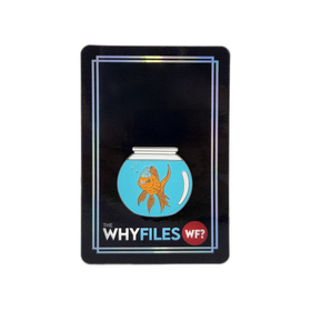 Hecklefish Pin