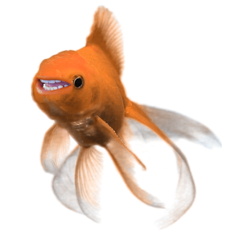 Official Hecklefish Full Zip Hoodie