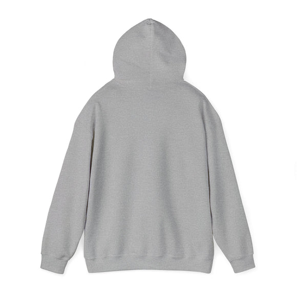 Illuminaughty Pull Over Hoodie