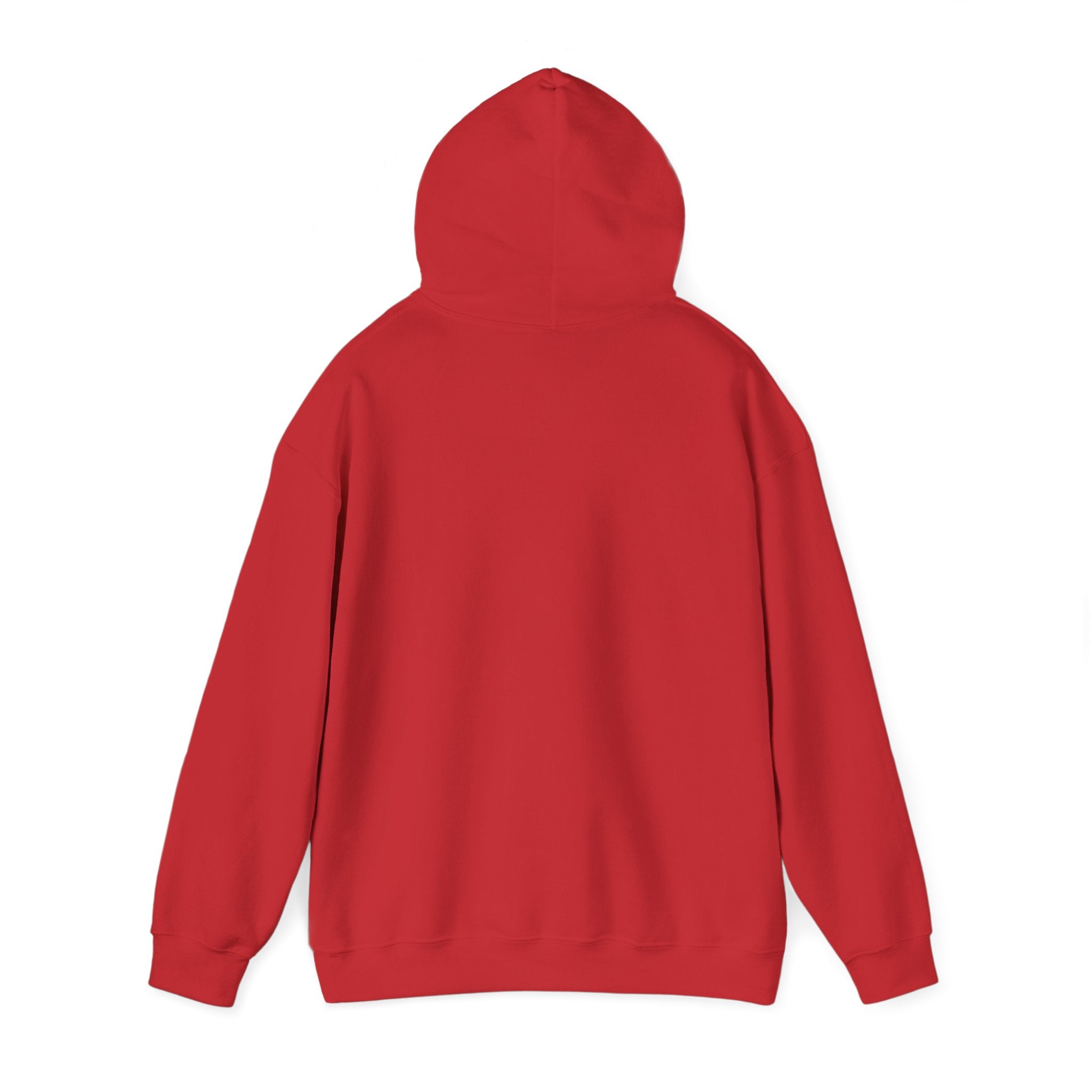 The Moon is Weird Hooded Sweatshirt