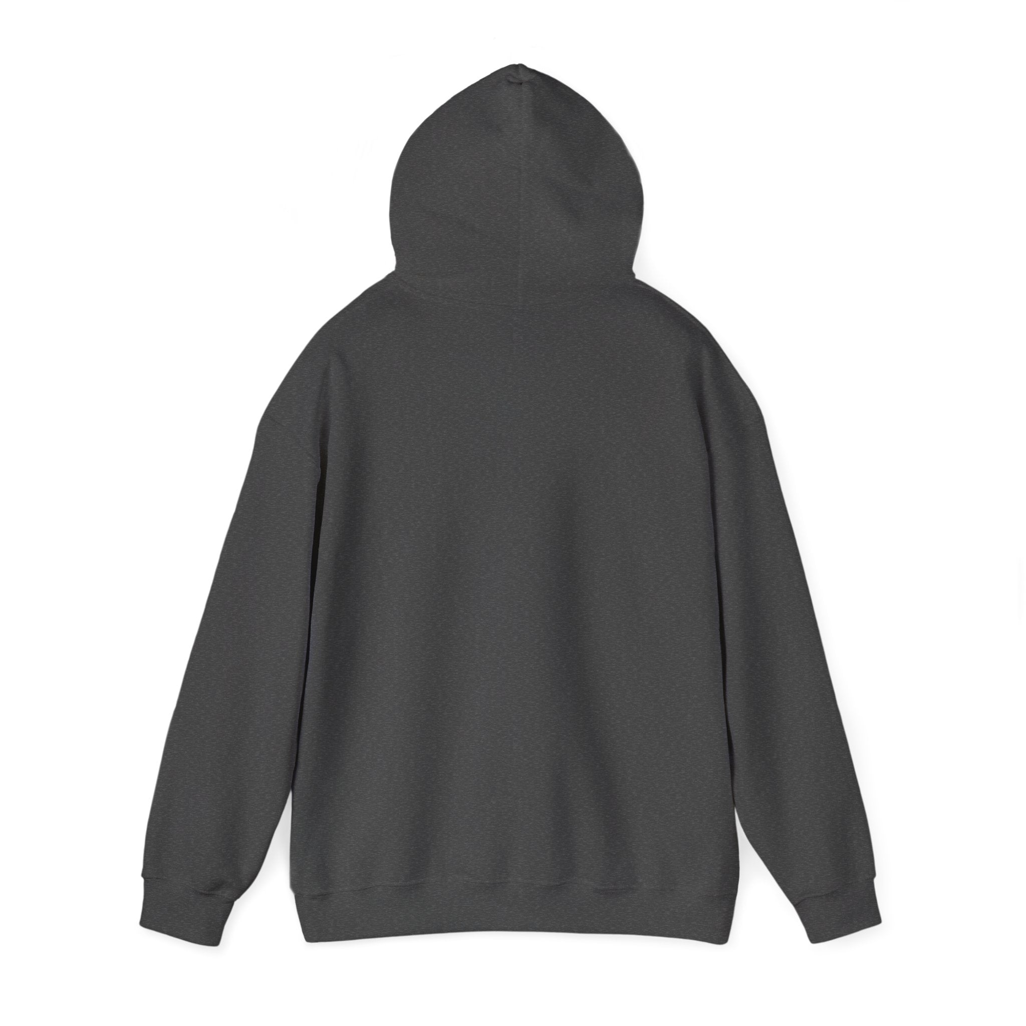 The Moon is Weird Hooded Sweatshirt
