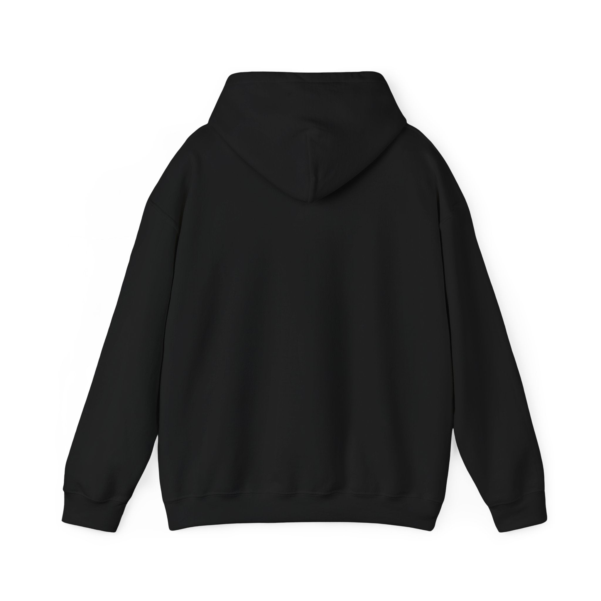 The Moon is Weird Hooded Sweatshirt