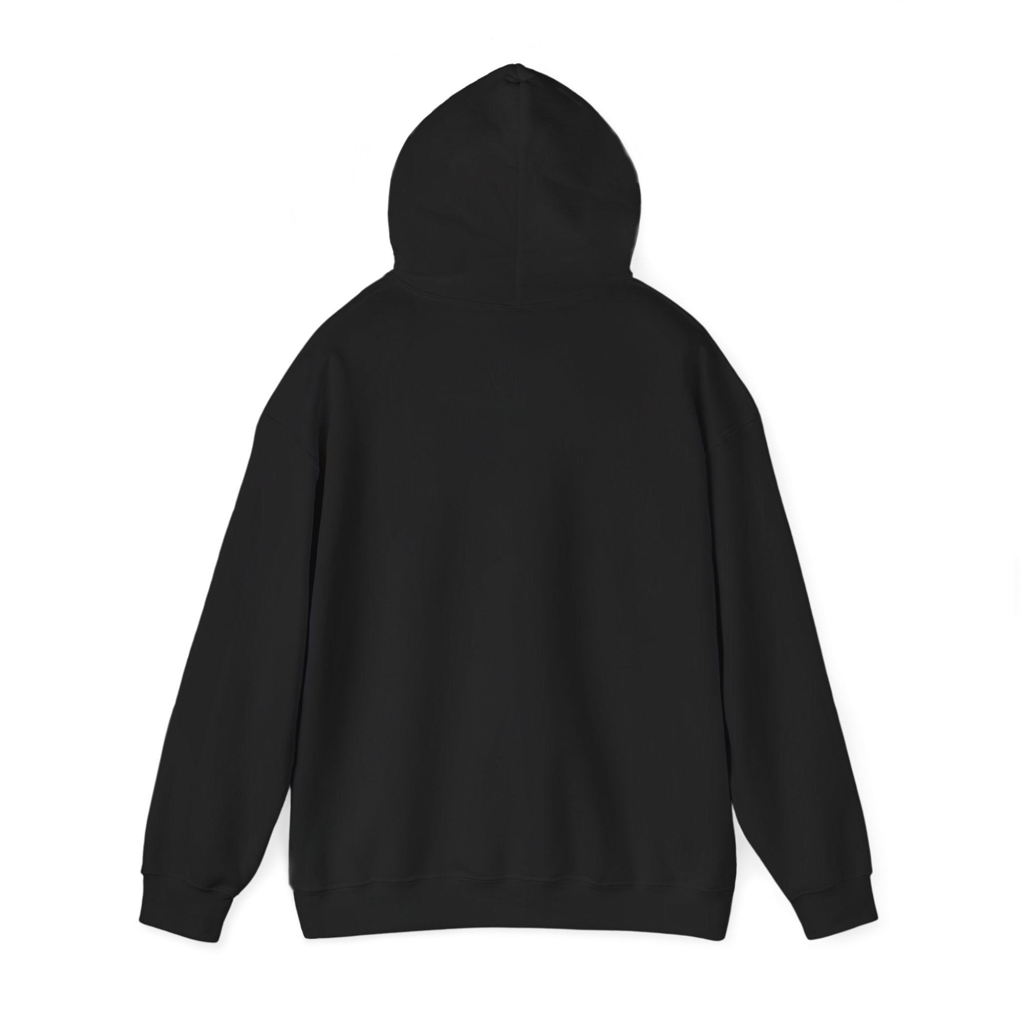 The Moon is Weird Hooded Sweatshirt