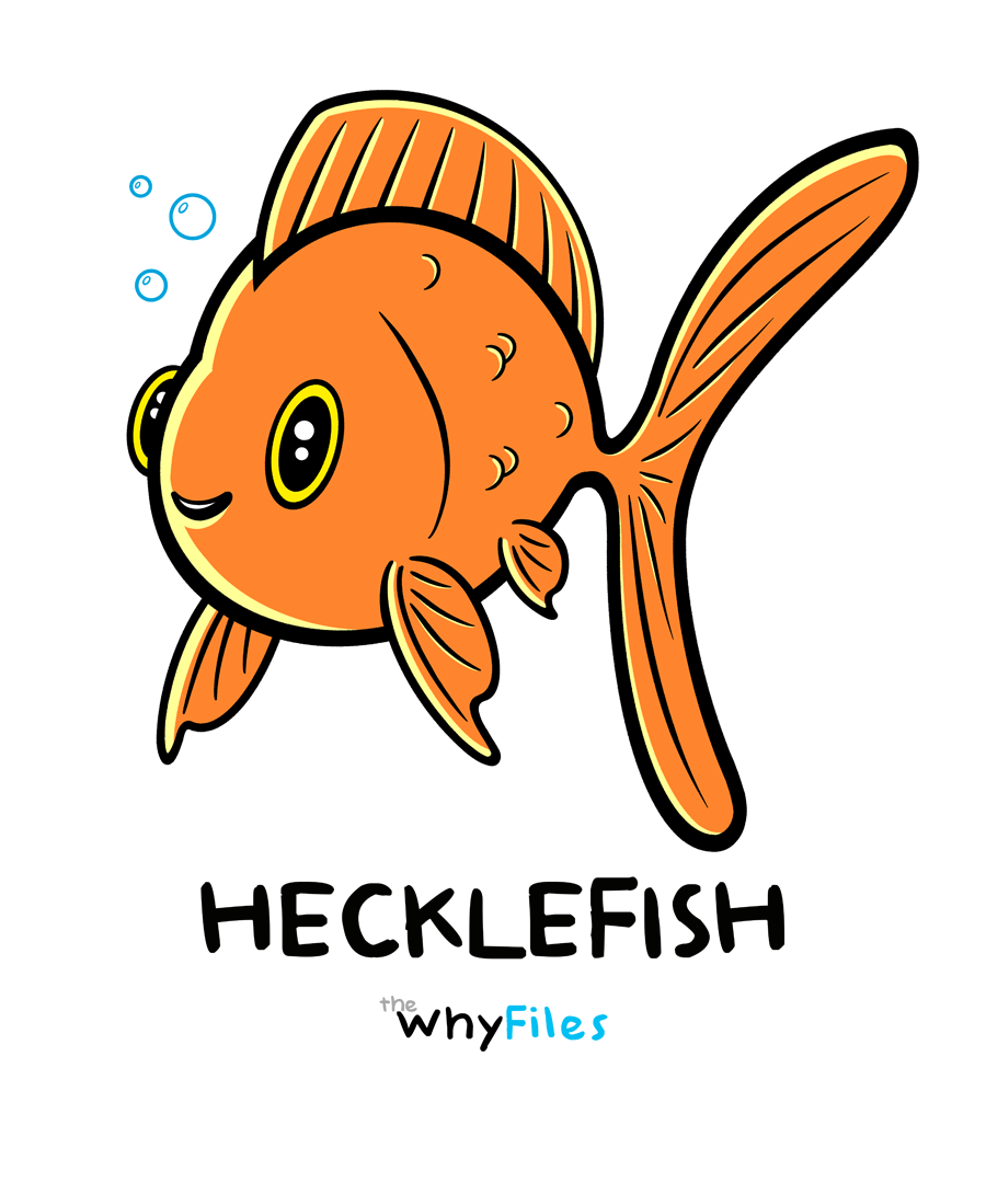 Baby Hecklefish Bodysuit