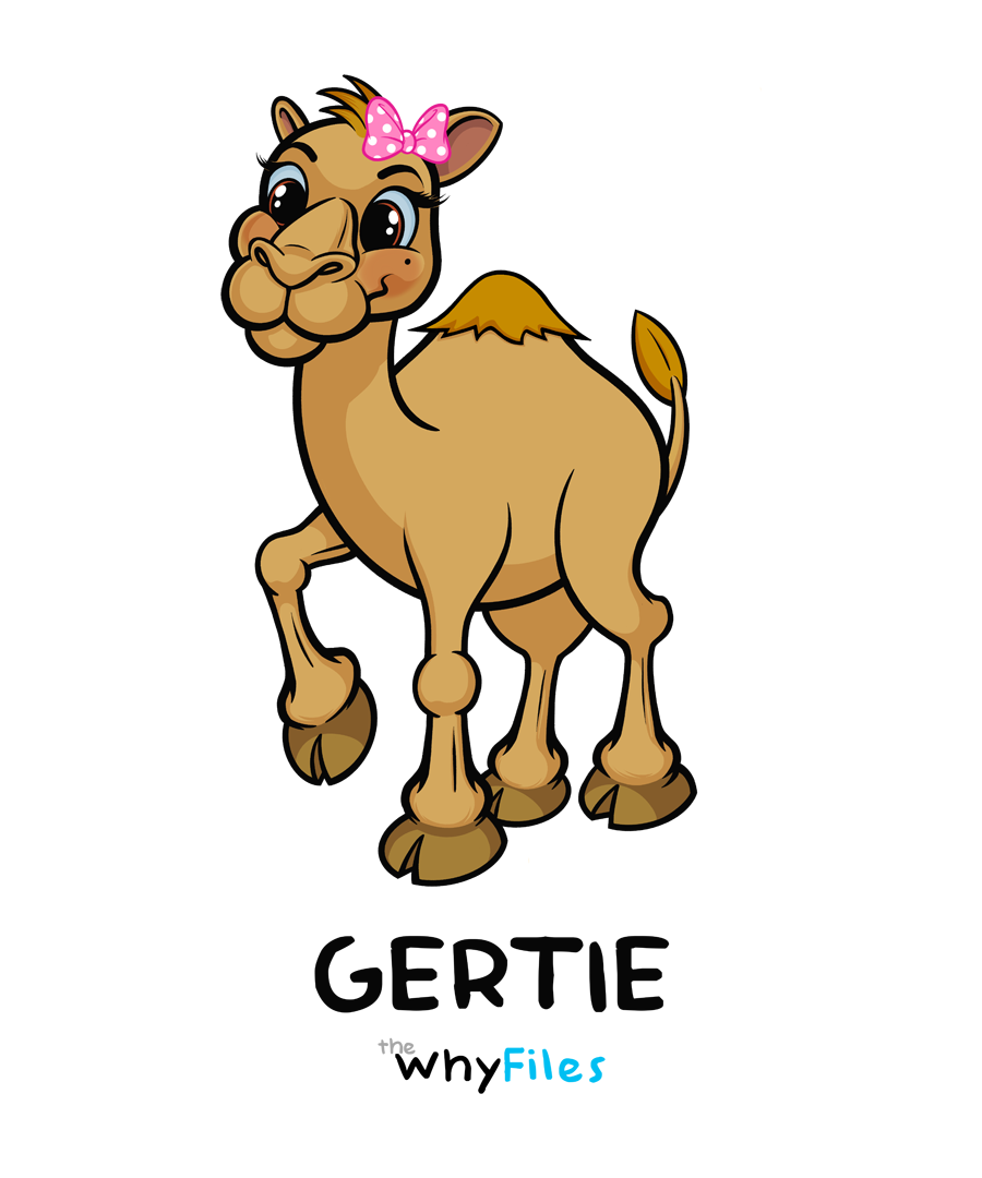 Baby Gertie Bodysuit