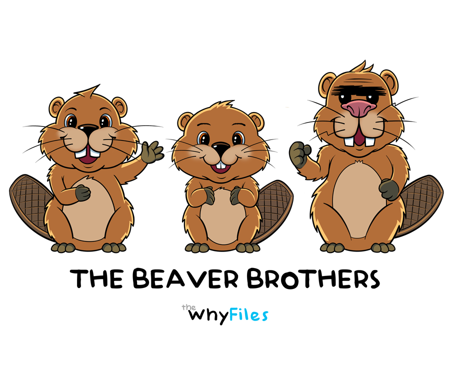 Beaver Bros Bodysuit