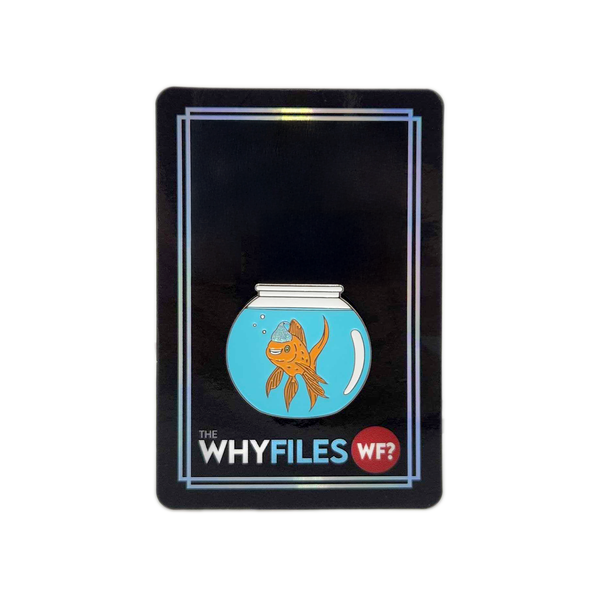 Hecklefish Pin – The Why Files