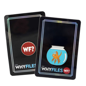 The Why Files Pin - Combo