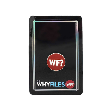 The Why Files Pin - Combo - 0