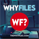 Official WF Challenge Coin - Series 1-6