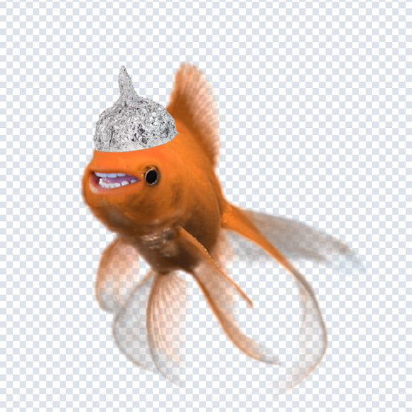 Tin Foil Hecklefish Infant Tee