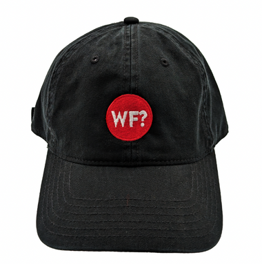 Why Files Embroidered Dad Hat - Black