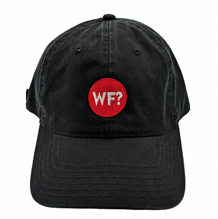 Why Files Embroidered Dad Hat - Black - 0