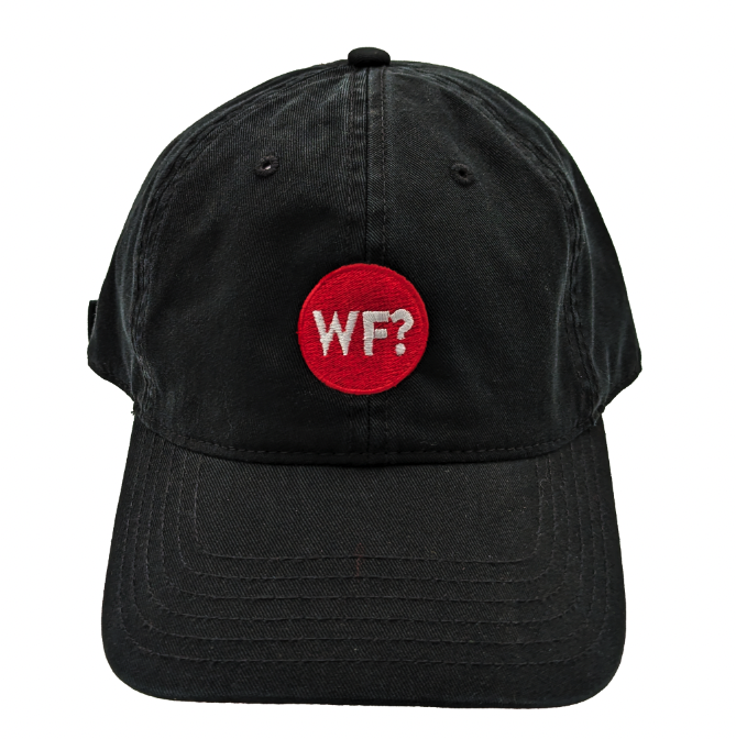 Why Files Embroidered Dad Hat - Black