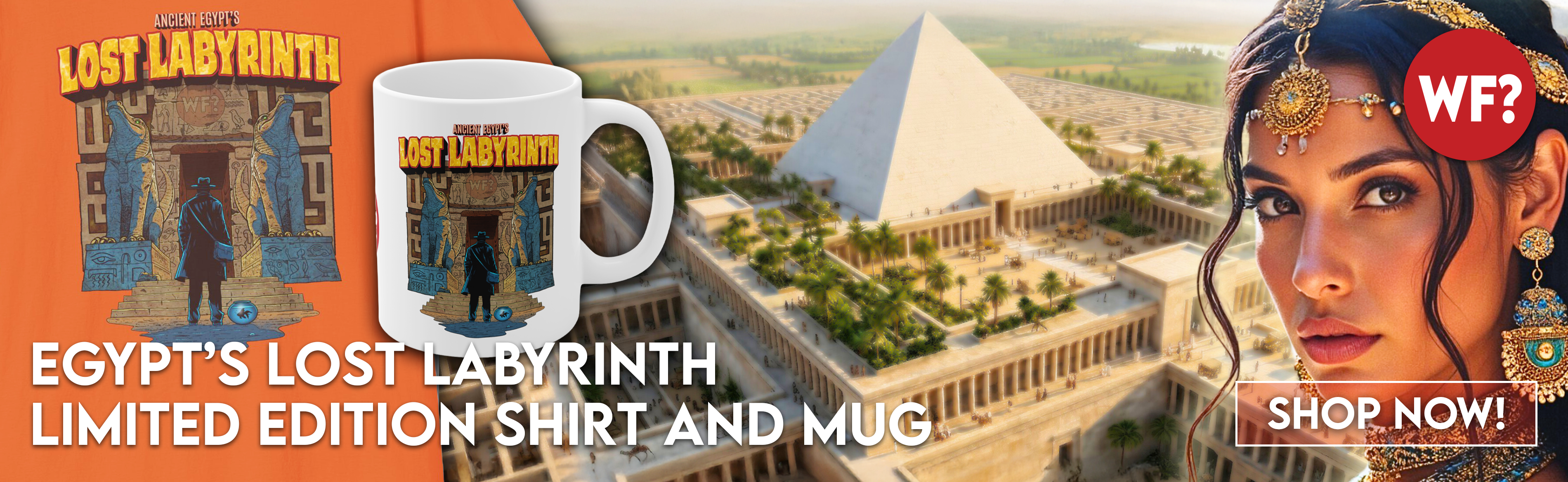 Thewhyfiles lostlabyrinth slider