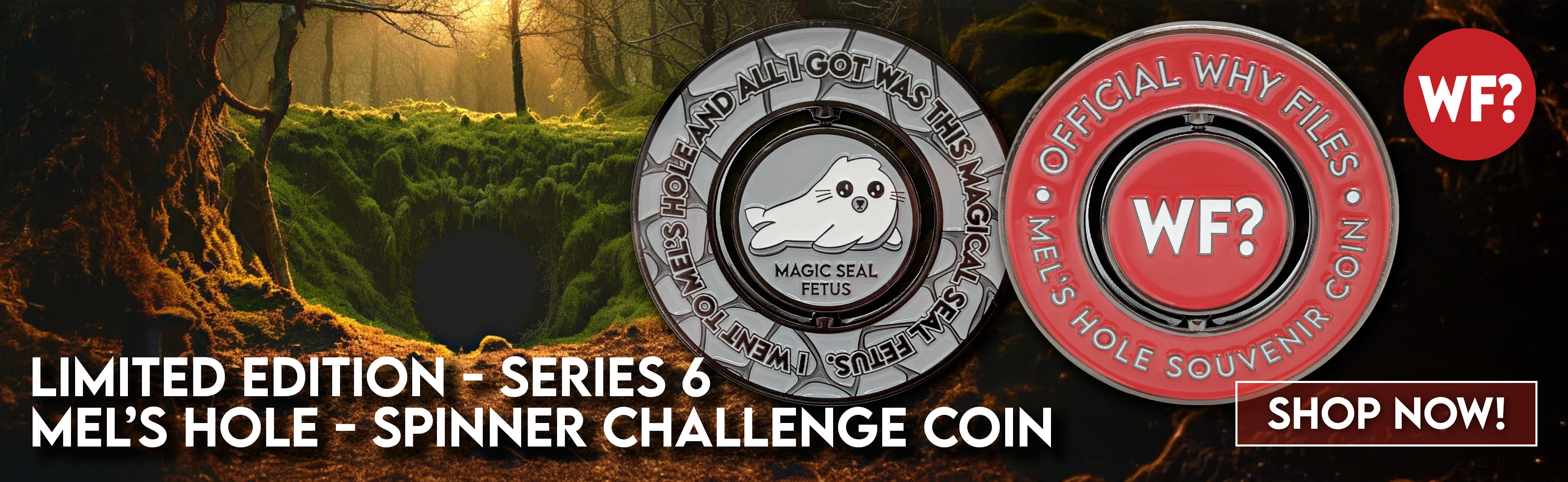 Thewhyfiles melsholechallengecoin slider