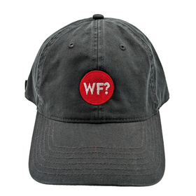 Why Files Embroidered Dad Hat - Black