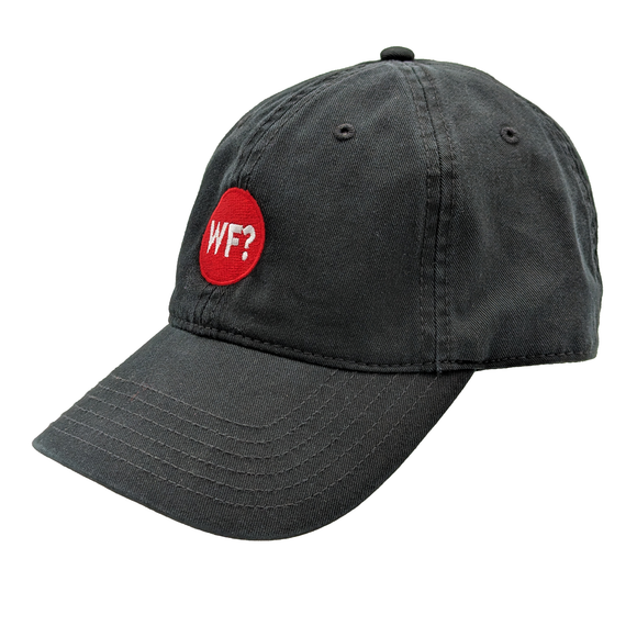 Why Files Embroidered Dad Hat - Black