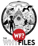 The Why Files Everything  Unisex Heavy Blend™ Full Zip Hoodie-2