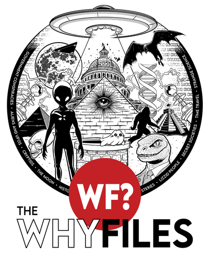 Everything T-Shirt - 0