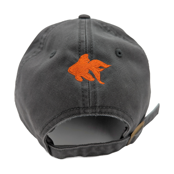 Why Files Embroidered Dad Hat - Grey