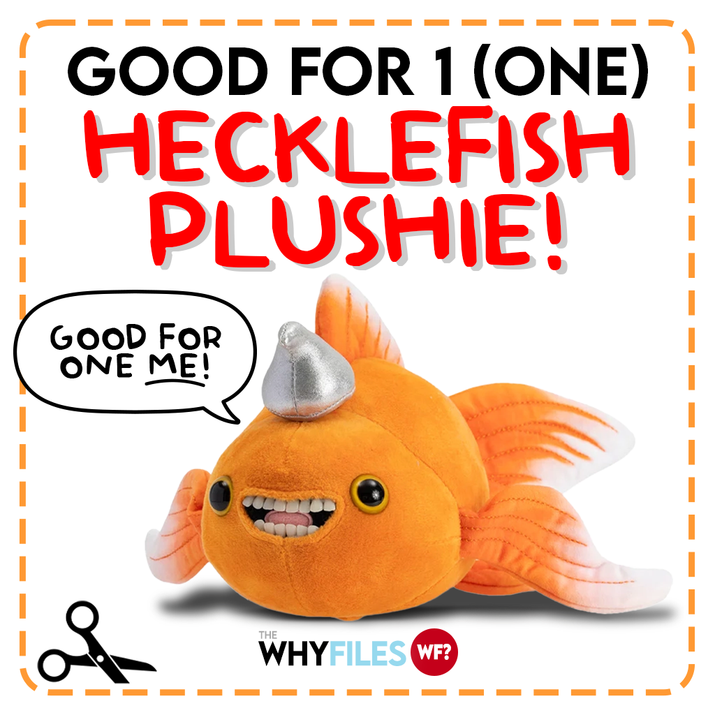 Official Hecklefish Talking Plushie ****PRE-ORDER!!!****