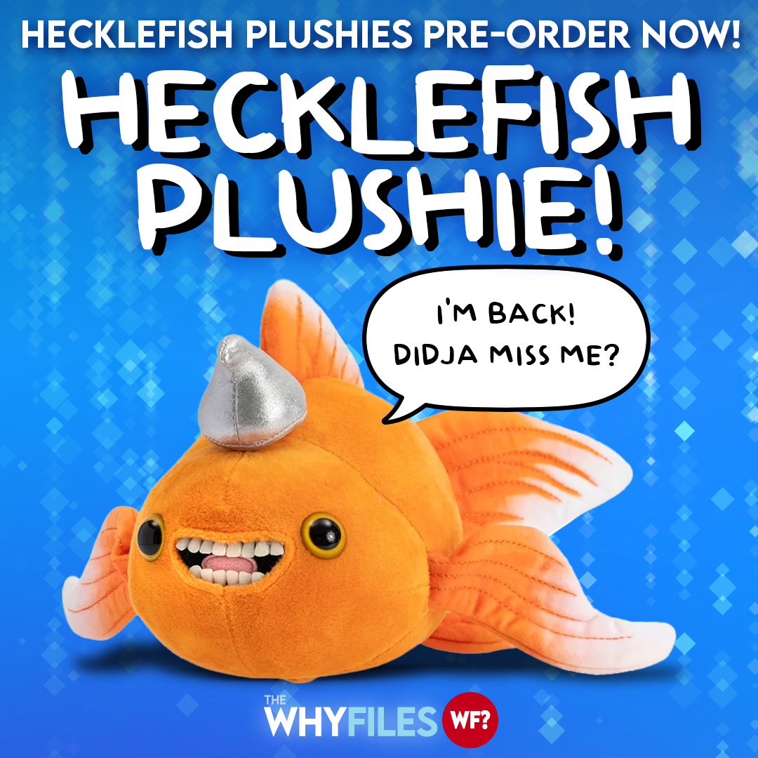 Official Hecklefish Talking Plushie ****PRE-ORDER!!!****