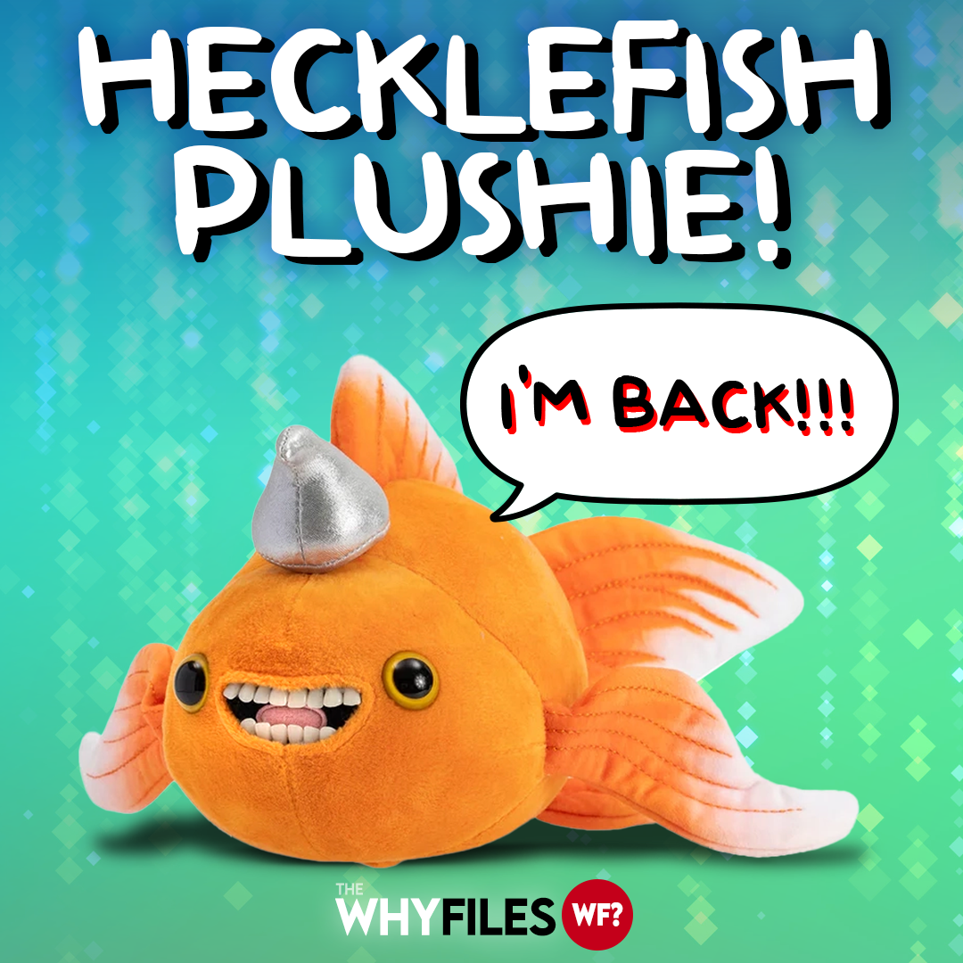 Official Hecklefish Talking Plushie IS BACK!!!!