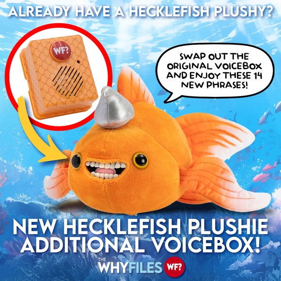 Plushie and Voicebox 2.0 Combo