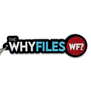 The Why Files Logo Keychain - Carry the Mystery Wherever You Go-1
