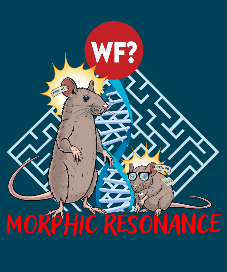 Morphic Resonance T-Shirt