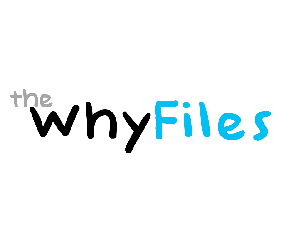 Why Files Bodysuit
