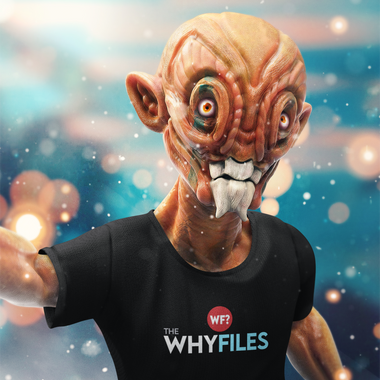 The Why Files Logo - Unisex Softstyle T-Shirt